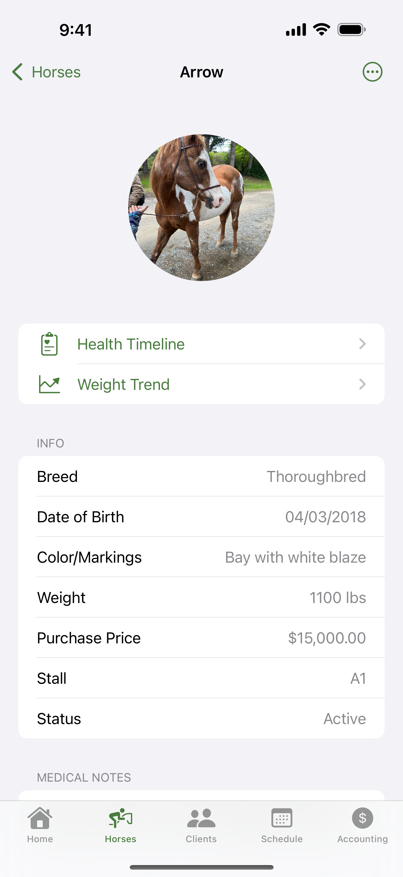 BarnHub Horses